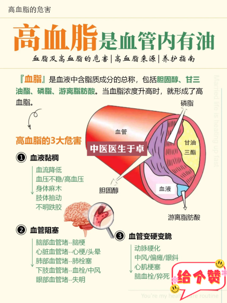 高血脂症配图.png 高血脂症配图.png